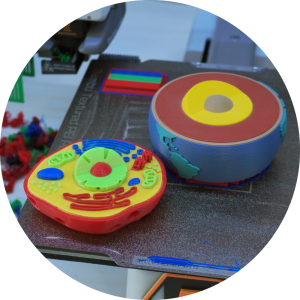 multi color 3d printer cell and earth core